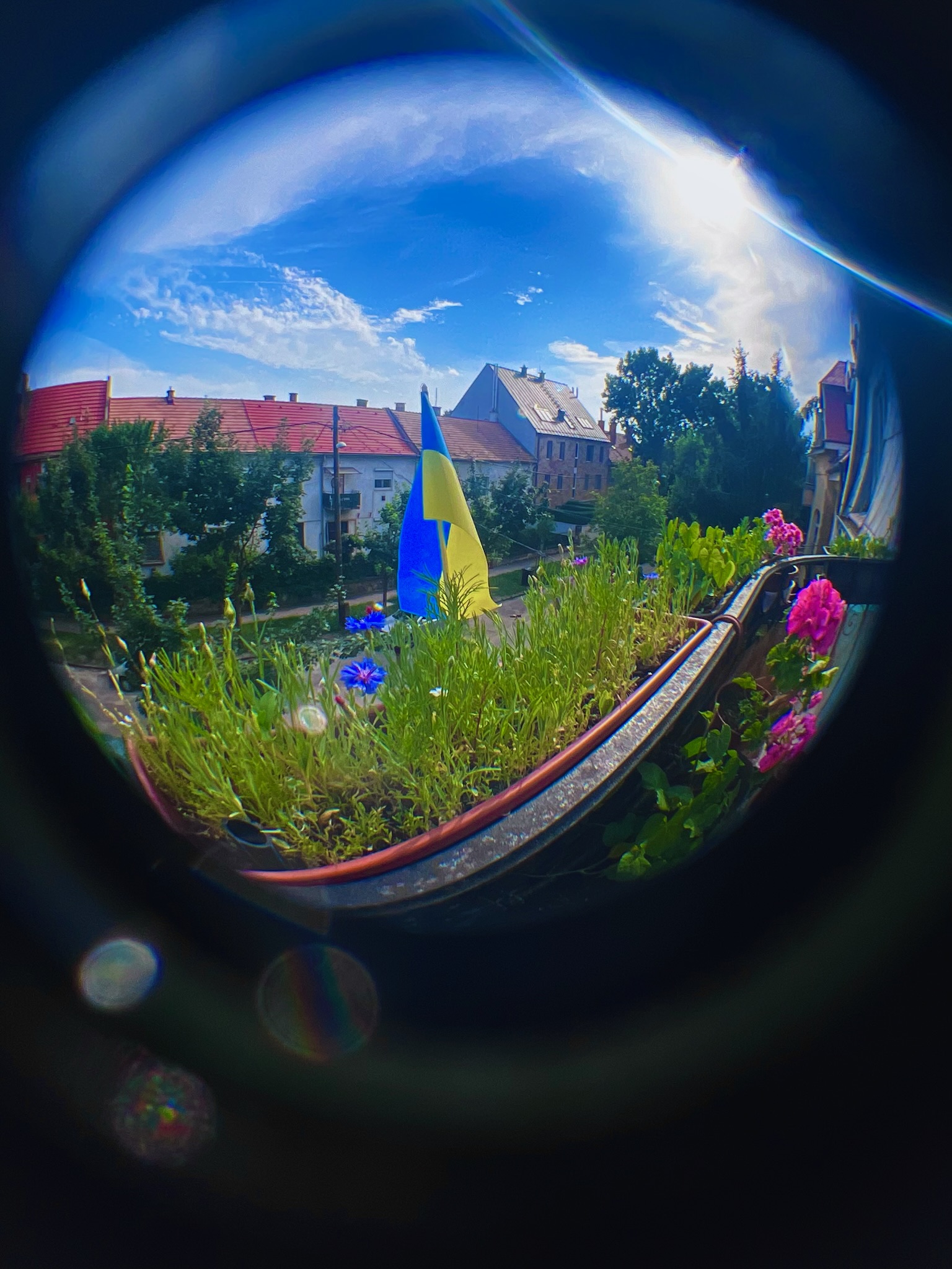 Budapest side quest